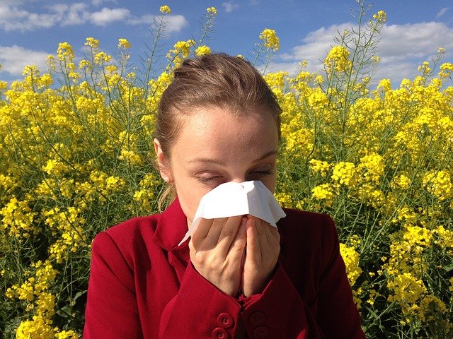 Allergy Medical Allergic Allergen  - cenczi / Pixabay